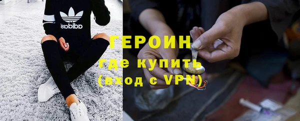 сатива Заводоуковск