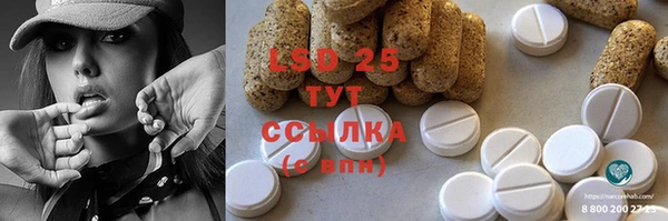 сатива Заводоуковск