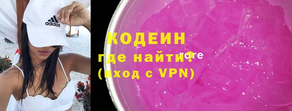 сатива Заводоуковск