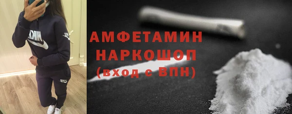сатива Заводоуковск