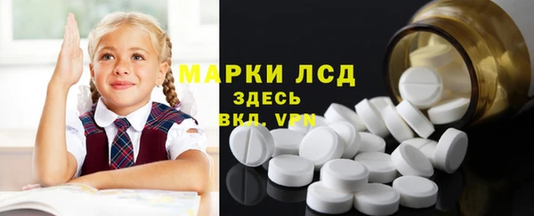 PSILOCYBIN Елабуга