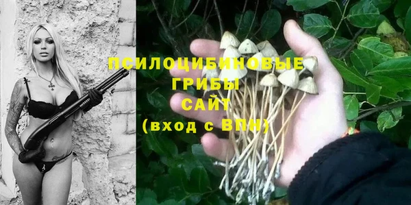 мдпв Заволжье