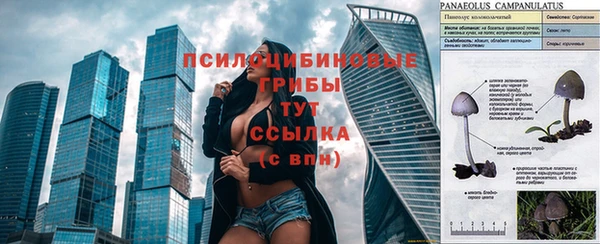 мдпв Заволжье