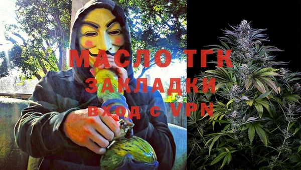 сатива Заводоуковск