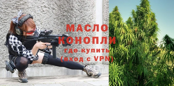 сатива Заводоуковск