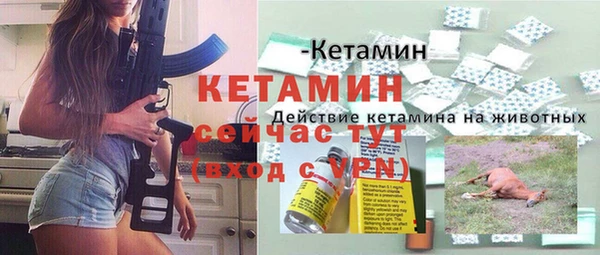 сатива Заводоуковск