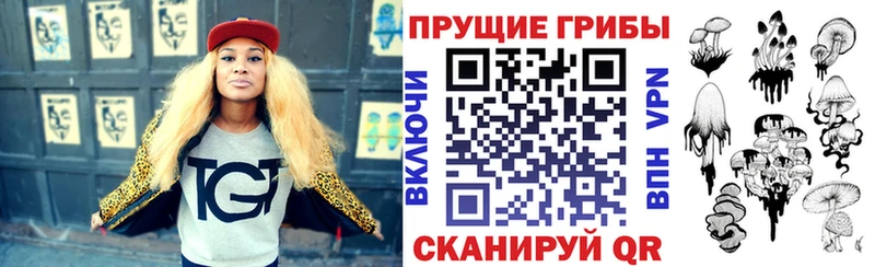МЕГА   Льгов  Галлюциногенные грибы Psilocybe 